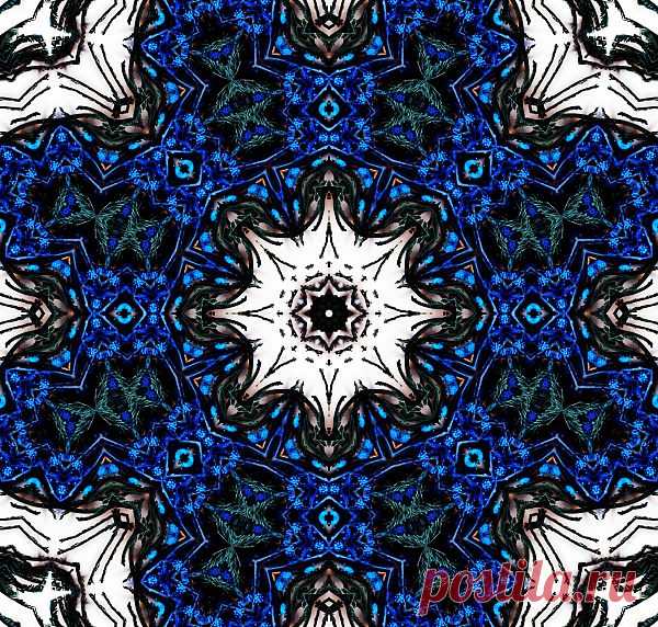 Flower Patterned Ornament  Free Stock Photo HD - Public Domain Pictures