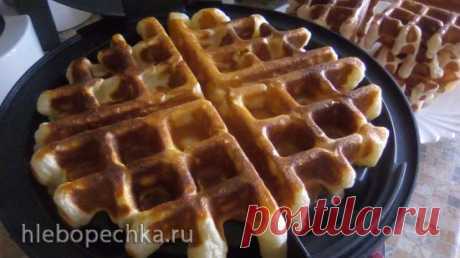 Творожные вафли от И. Лазерсона в вафельнице Gfgrill GF-020 Waffle Pro - Хлебопечка.ру