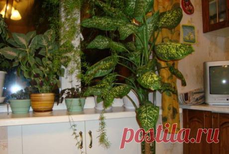 Кухонное дерево | Цветочки