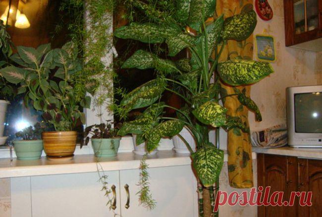 Кухонное дерево | Цветочки