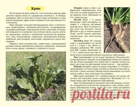 Хрен