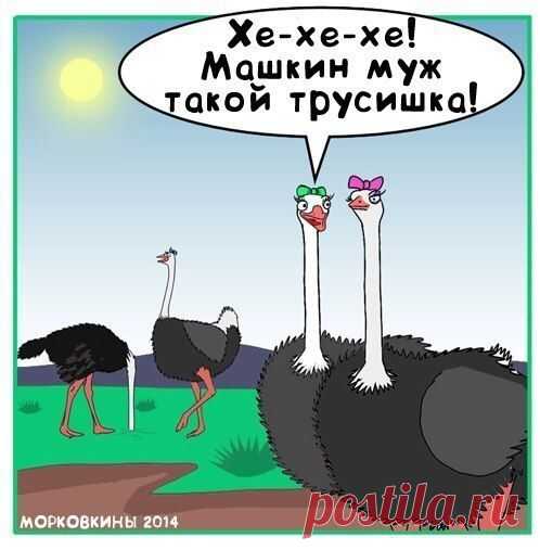 Фотографии на стене сообщества | 32 768 фотографий | ВКонтакте