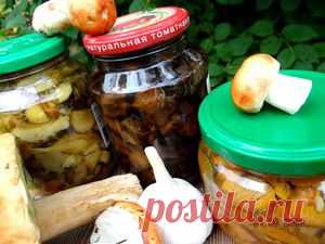 Грибочки с чесноком маринованные (вариант). Рецепт c фото, мы подскажем, как приготовить!