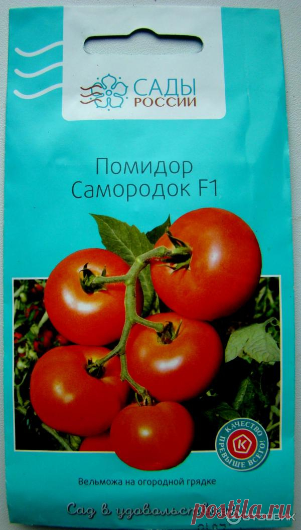 Томат самородок отзывы Огород без хлопот - информационный сайт для да ...