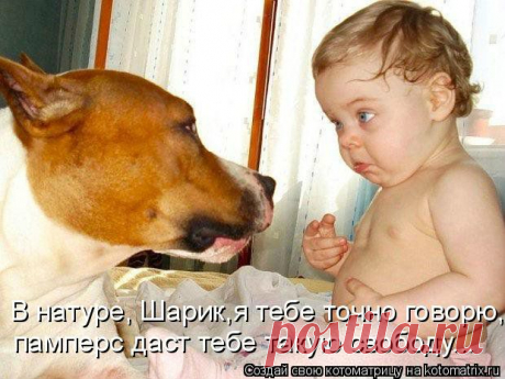 В натуре,Шарик...)))