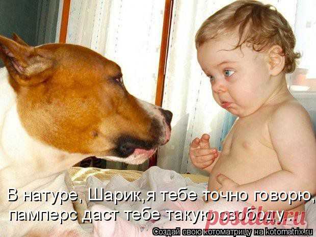 В натуре,Шарик...)))