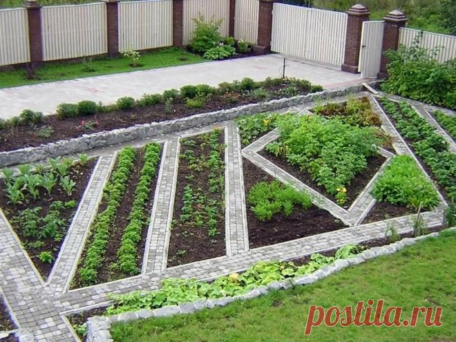 Дизайн-проект огорода с грядками