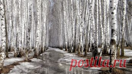 Ведьмочка Инга – Google+