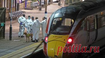 Дмитриев связал нападение на поезд в Британии с иммиграционной политикой. Глава РФПИ Кирилл Дмитриев связал нападение с ножом на пассажиров поезда в Великобритании с провальной иммиграционной политикой. Читать далее