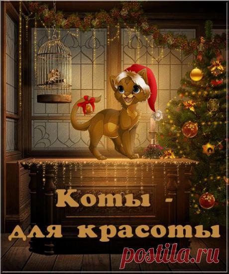 Коты - для красоты. Клипарт. - Фотошоп+видео-анимация - Группы Мой Мир