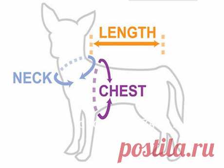 Малый Четыре Ноги Щенок Пальто комбинезон, Pet Хлопок Спортивной Костюм Adidog Одежда Для Собак Комбинезон Свитер Для Тедди чихуахуа купить на AliExpress