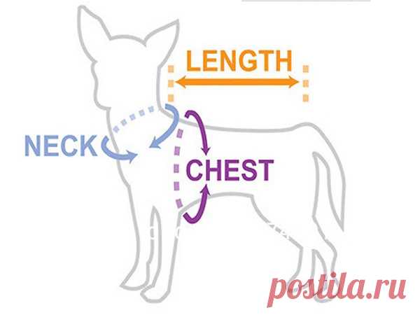 Малый Четыре Ноги Щенок Пальто комбинезон, Pet Хлопок Спортивной Костюм Adidog Одежда Для Собак Комбинезон Свитер Для Тедди чихуахуа купить на AliExpress