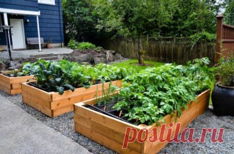 Осень – самое время делать теплые грядки | Все о грядках (Огород.ru)