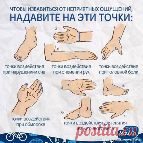здоровье,красота | Записи в рубрике здоровье,красота | Копилка Фракир-Наты