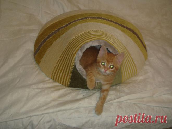 и снова я, позирую в домике для хорька))