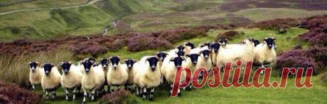 Актуальная картинка на сон грядущий - Блог хорошего настроения =)