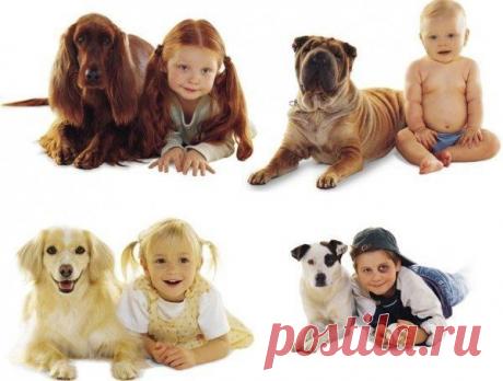 Найди себе пару))