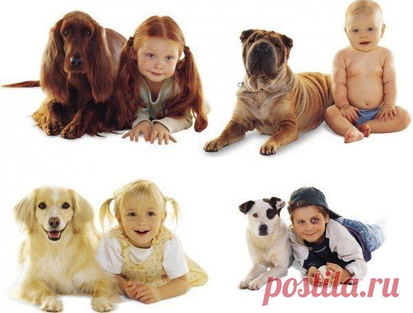 Найди себе пару))