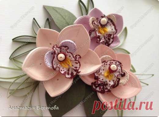 Орхидея: новый вариант | Страна Мастеров