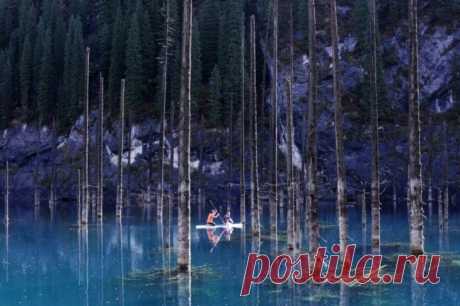 Уникальные снимки без фотошопа, которые хочется разглядывать часами--Озеро Каинды образовалось всего 100 лет назад в Казахстане в результате разрушительного землетрясения