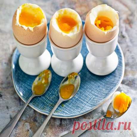 Мифы о куриных яйцах. Опровергаются с научной точки зрения.