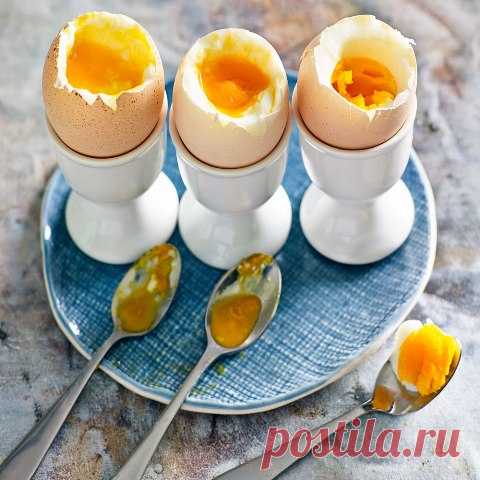 Мифы о куриных яйцах. Опровергаются с научной точки зрения.