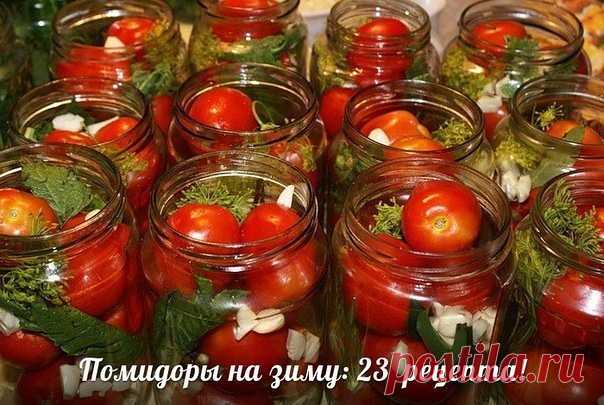 (50) Одноклассники