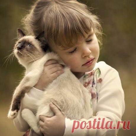 Мой Мир@Mail.Ru