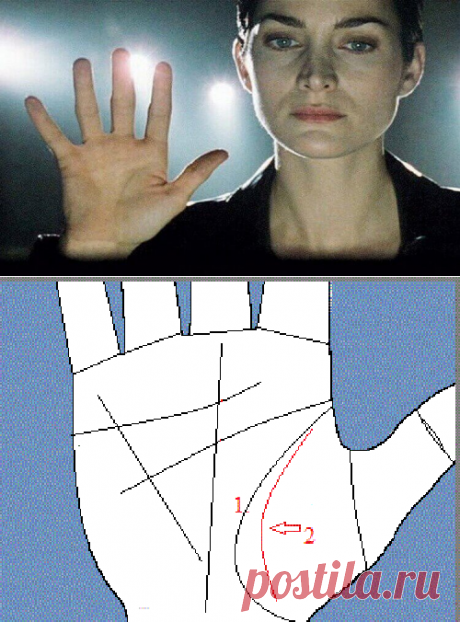 Линия Ангела-Хранителя на ладони: есть ли она у вас