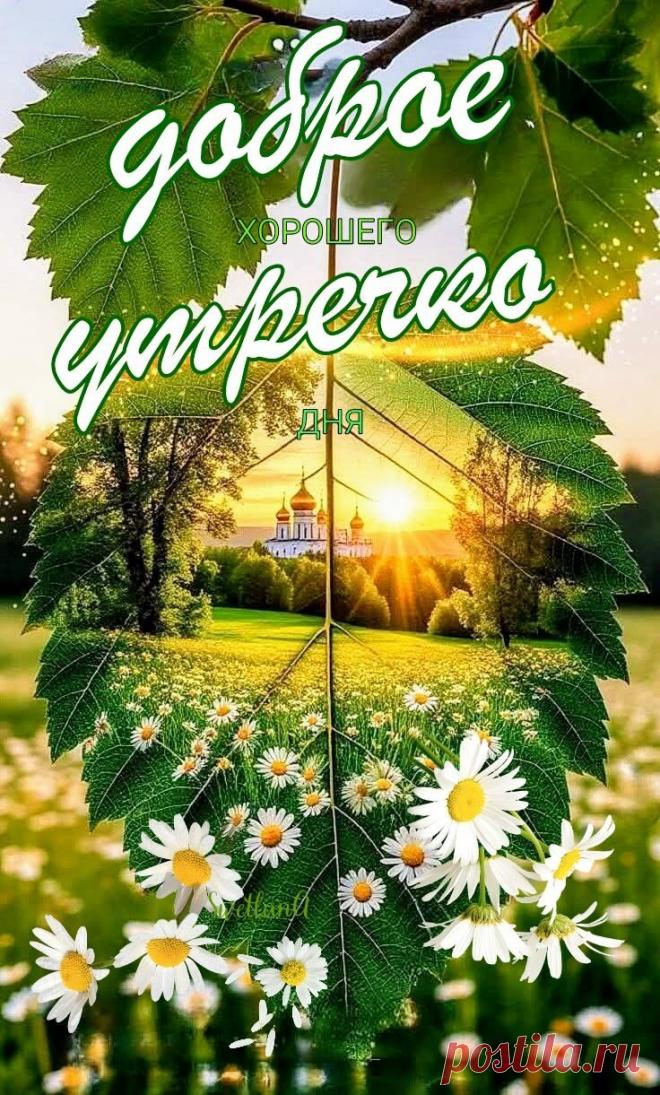 Доброе утро