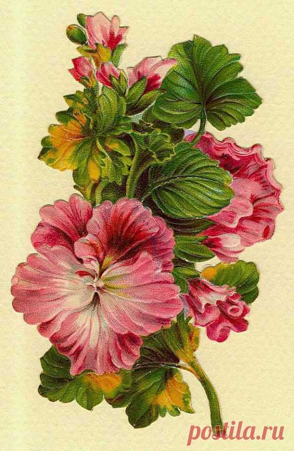 Julie Zwickl приколол(а) это к доске My Botanical Paper Garden | Pint…