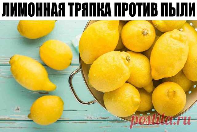 ЛИМОННАЯ ТРЯПКА ПРОТИВ ПЫЛИ
Как поддерживать чистоту и порядок в доме задаются вопросом многие женщины. 
Да и еще чтобы поменьше химии использовать.
Вот один из вариантов как вытереть пыль и она подольше не появлялась. Для это стоит сделать специальный раствор.
Для раствора нужно разрезать лимон на дольки, залить 7 ст. ложками растительного масла и настаивать неделю.
Настоявшийся раствор разбавить стаканом кипятка и процедить.
Окунуть туда тряпку, отжать, высушить и исполь...