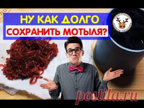 МОТЫЛЬ ДЛЯ РЫБАЛКИ. Как хранить мотыля ДОЛГО в домашних условиях. Жена ПОМОЖЕТ!!!