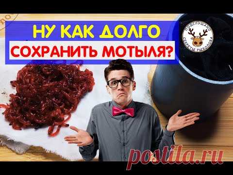 МОТЫЛЬ ДЛЯ РЫБАЛКИ. Как хранить мотыля ДОЛГО в домашних условиях. Жена ПОМОЖЕТ!!!