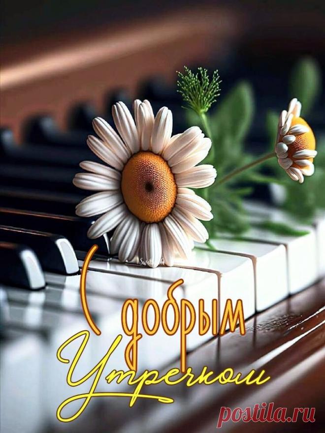 Доброе утро
