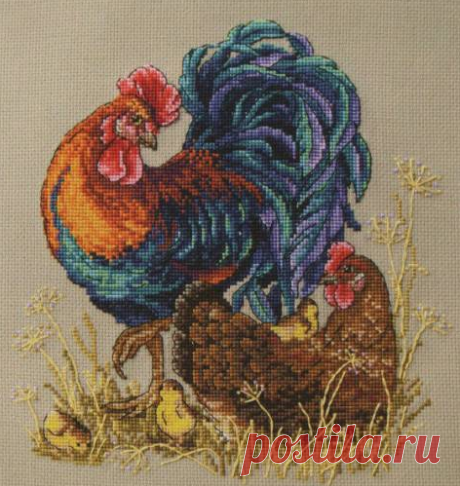 Без заголовка