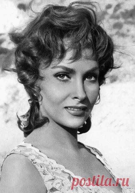 Gina Lollobrigida