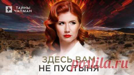 ПОДПИСЫВАЙТЕСЬ: ▶️RUTUBE - https://rutube.ru/feeds/rentv/  ▶️САЙТ РЕН ТВ: https://ren.tv/  ▶️ВКОНТАКТЕ - https://vk.com/rentvchannel  ▶️ОК -…