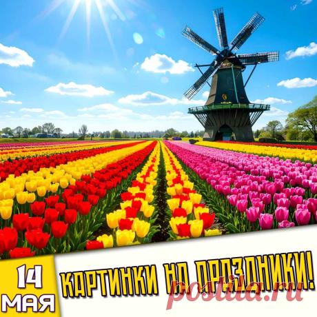Праздники 14 Мая 2026 года (14.05.26 четверг)

✅ День Большого Бодуна
✅ Пролетье (Еремей Запрягальник)
✅ День иконы Божией Матери «Нечаянная Радость»
✅ День рождения вазелина
✅ День фрилансера
✅ Международный день чихуахуа