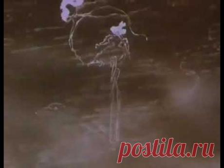 А.С. Пушкин. Бесы. Читает Сергей Юрский. 1979