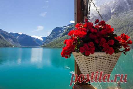 Lovatnet - Поиск в Google