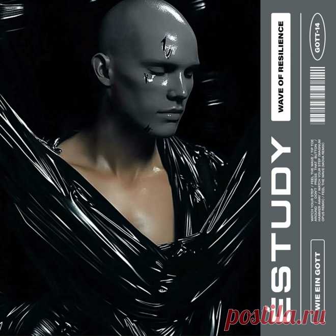 Éstudy - Wave Of Resilience (2025) 320kbps / FLAC