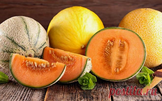 Как по кожуре выбрать спелую и сладкую дыню: 4 вещи, на которые нужно смотреть Что считается неприемлемым атрибутом уходящего лета? Правильно – это дыня и арбуз. Вот только у каждого человека свои предпочтения. Мы уже говорили о том, как нужно выбирать арбуз, а вот про дыню расс