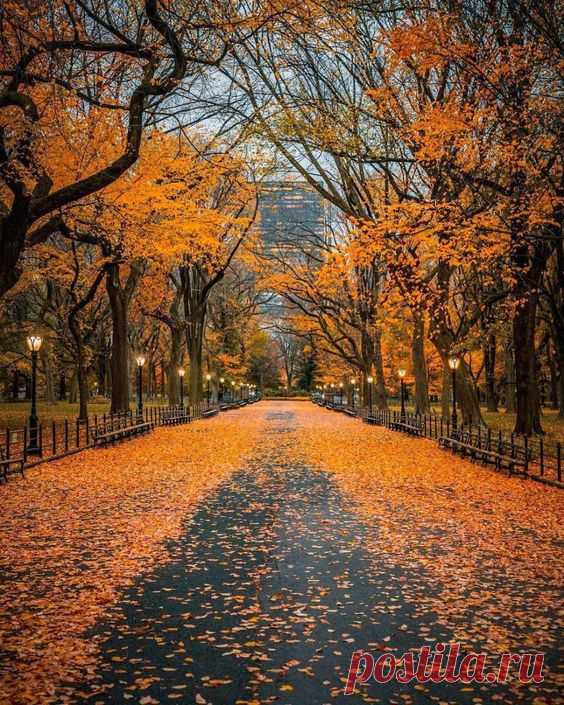 Pinterest
