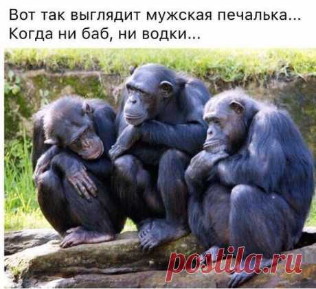 Владимир: «Принимайте все, когда оно приходит к вам, наслаждайтесь всем, пока оно длится, отпускайте все, когда оно должно уйти.»