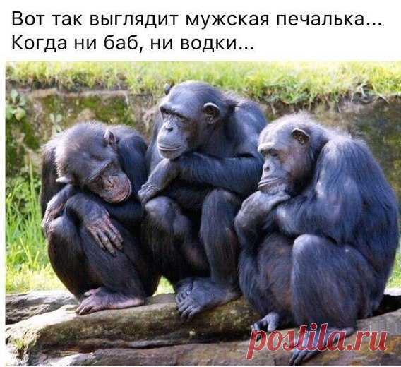 Владимир: «Принимайте все, когда оно приходит к вам, наслаждайтесь всем, пока оно длится, отпускайте все, когда оно должно уйти.»