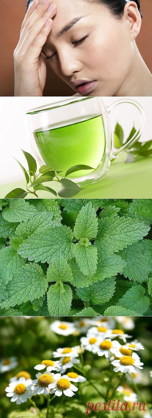 Народные средства при спазме сосудов головного мозга | Самые популярные и самые вкусные рецепты с видео