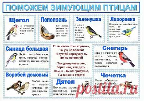 зимующие птицы урала с кратким описанием - Поиск в Google