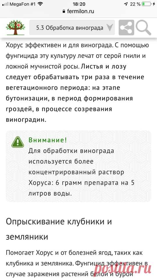 (4) Клуб розоводов Огород.ru