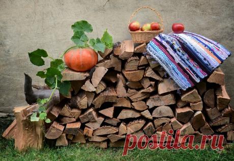 Народные приметы о дровах и поленьях: 
К чему полено выпадает из камина, дрова в печи не разгораются, трещат. Что сулит, если уронить полено при укладке дров, к чему снятся, видеть во сне, и другие 25 примет и поверий: